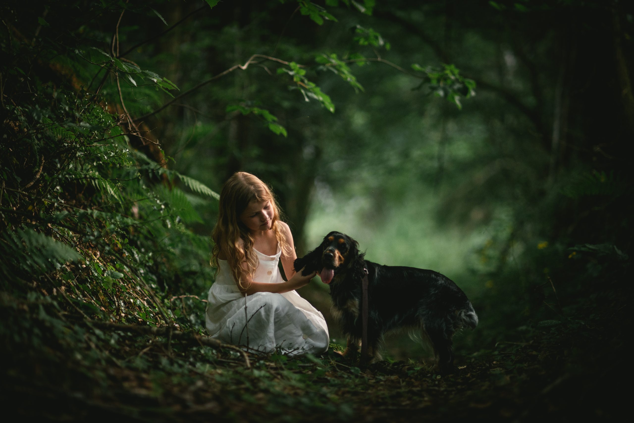 Enfant et son chien pendant une séance photo au crépuscule à Oraison
