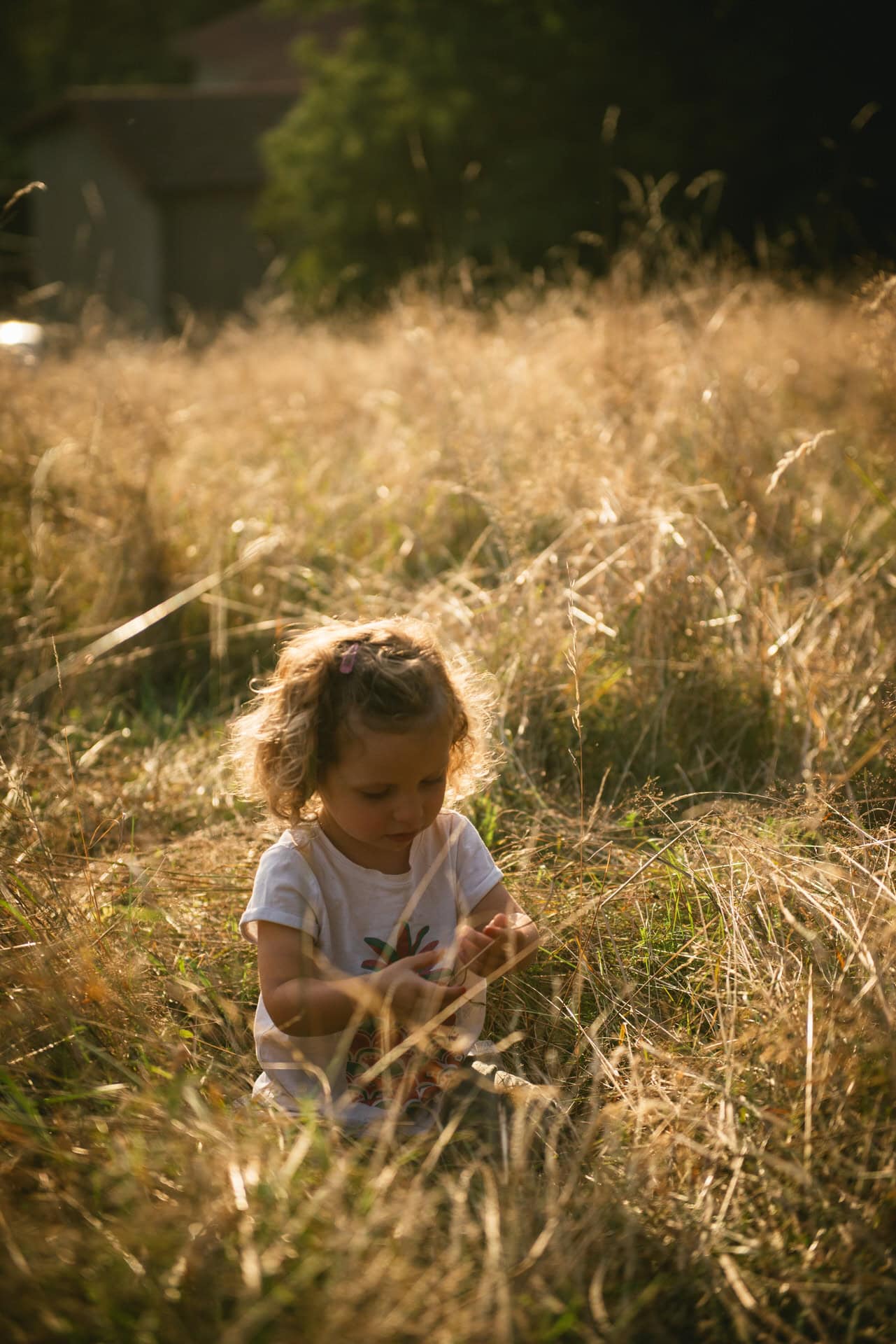 Un tout-petit et son père au crépuscule près d'Aix-en-Provence