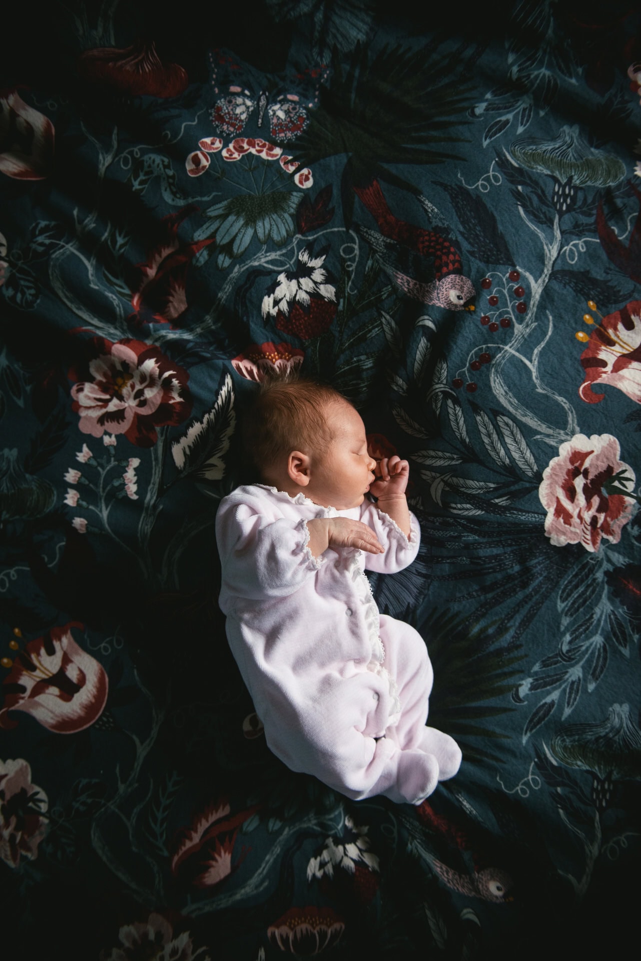 Portrait de nouveau-né endormi, séance naissance à Aix-en-Provence